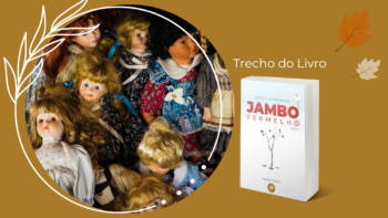 A teoria da Prateleira de Bonecas