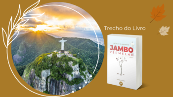 Deve ser isso que chamam de Cidade Maravilhosa