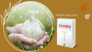 Um outro desejo