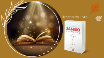 O que é Conhecimento